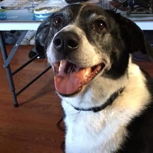 Meet your Posher, Terri